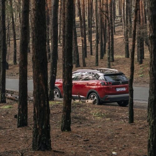 "Red SUV parked in a forest area, symbolizing travel and vehicle protection with Regal Insurance"